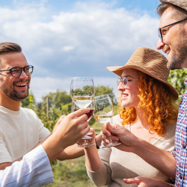 Sur les Sentiers de l'Œnotourisme, dégustation de vin près de Lyon - Amis