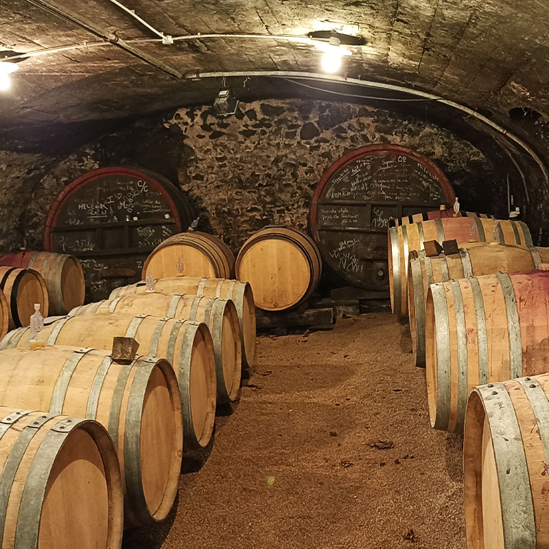 Trails-Wine-tourism-Private-tour-Beaujolais-Day-Cave