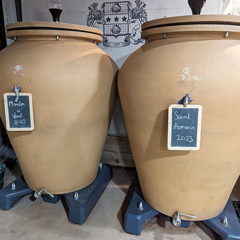 Trails-Wine-tourism-Private-tour-Beaujolais-Day-Jarre