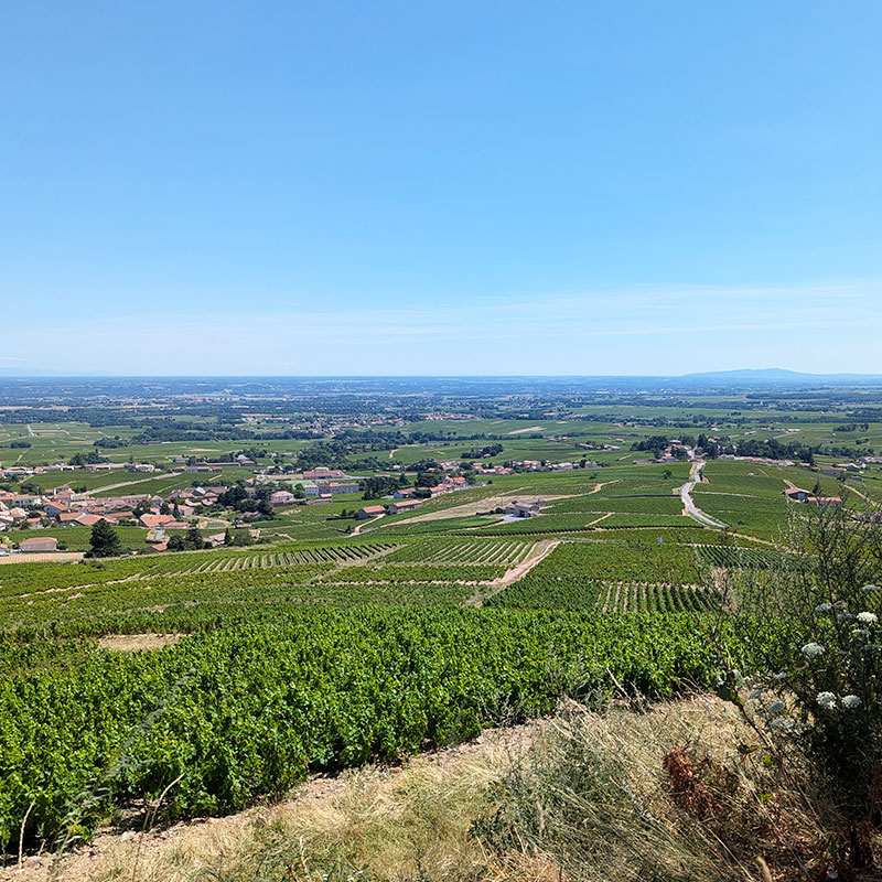 Trails-Wine-tourism-Private-tour-Beaujolais-Day-Paysage